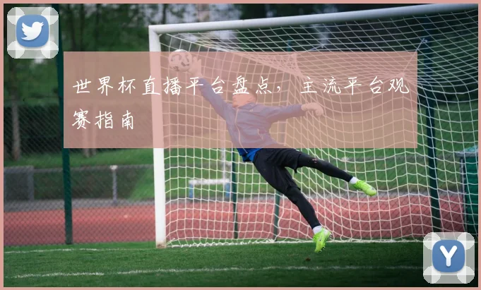 世界杯直播平台盘点,主流平台观赛指南