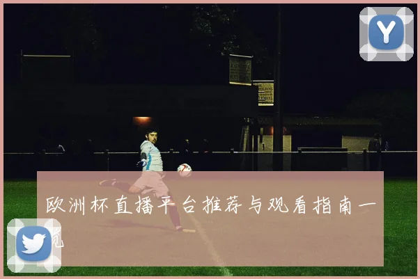 欧洲杯直播平台推荐与观看指南一览